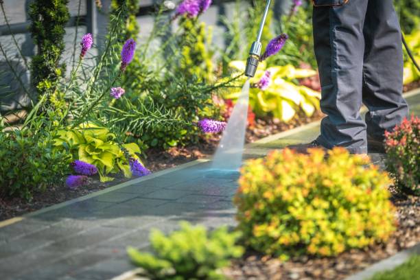 Best Deck and Patio Pressure Washing in Spencerville, MD